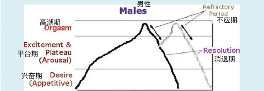 令人迷惑的“賢者模式”，抽搐后索然無味插圖1