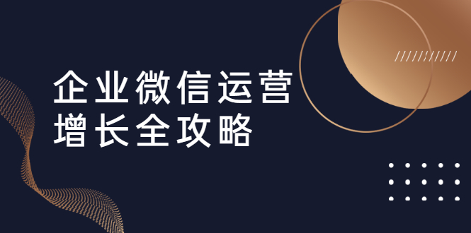 企業(yè)微信運(yùn)營增長全攻略：引流+裂變+運(yùn)營+成交  百度網(wǎng)盤插圖