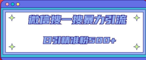 微信搜一搜引流全系列課程，日引精準(zhǔn)粉500+（8節(jié)課）百度網(wǎng)盤插圖