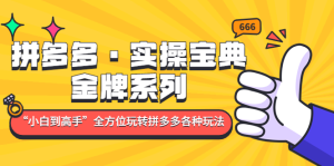 拼多多?實(shí)操寶典：金牌系列“小白到高手”帶你全方位玩轉(zhuǎn)拼多多各種玩法插圖