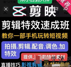 特效羅剪輯特效速成班：一部手機玩轉(zhuǎn)短視頻提供上千款特效素材插圖