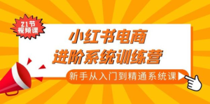 小紅書電商新手入門到精通實(shí)操課，從入門到精通做爆款筆記百度網(wǎng)盤插圖