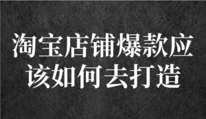 冠東?爆款店鋪淘系爆款選品方法，一個好選品思路決定是否盈利百度網(wǎng)盤插圖