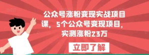 公眾號漲粉變現(xiàn)實(shí)戰(zhàn)項(xiàng)目課，5個(gè)公眾號變現(xiàn)，漲粉23萬百度網(wǎng)盤插圖