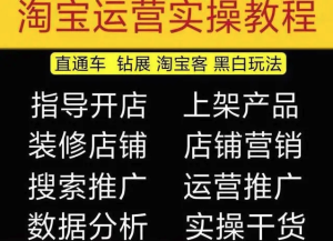 2023淘寶開店教程0基礎(chǔ)到高級全套視頻網(wǎng)店電商運(yùn)營培訓(xùn)教學(xué)課程（2月更新）百度網(wǎng)盤插圖