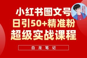 小紅書圖文號日引50+精準流量，新手小白實戰(zhàn)的小紅書引流課百度網盤插圖