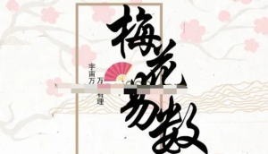 易小生《梅花易數(shù)》直播課程視頻13集百度網(wǎng)盤(pán)插圖