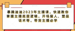 暴躁迪迪2023年主播課，快速教你掌握主播底層邏輯，開場留人塑品話術(shù)等，帶貨主播必學(xué)百度網(wǎng)盤插圖