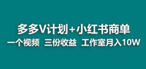 【藍海項目】多多v計劃小紅書商單副業(yè)賺錢教程百度網(wǎng)盤插圖