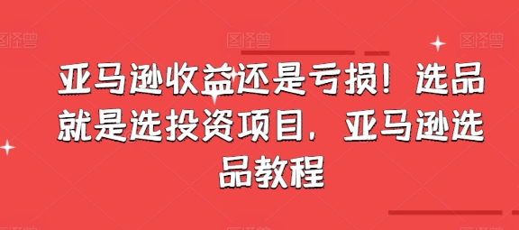 亞馬遜收益還是虧損！選品就是選投資項目，亞馬遜選品教程插圖