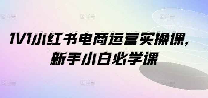 1V1小紅書電商運營實操課，新手小白必學課插圖