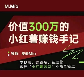 【抖音上新】價值300萬的小紅書賺錢手記 變現(xiàn)高、鏈路短、輕運(yùn)營，這波“小紅薯風(fēng)口”不能再錯過。