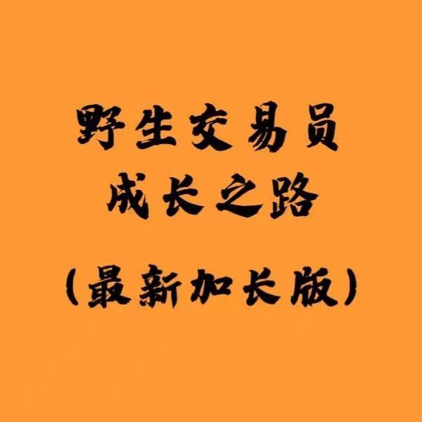 白儀野生交易員成長之路加長版資料PDF 2100多頁圖文干貨插圖