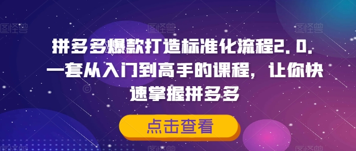 拼多多爆款打造標(biāo)準(zhǔn)化流程2.0，一套從入門到高手的課程，讓你快速掌握拼多多插圖