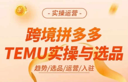 跨境拼多多TEMU實(shí)操與選品，多多temu跨境選品運(yùn)營實(shí)操插圖