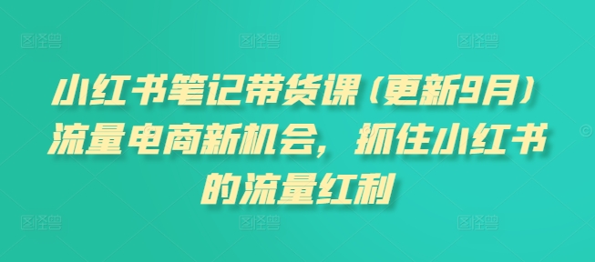 小紅書筆記帶貨課(更新9月)流量電商新機會，抓住小紅書的流量紅利