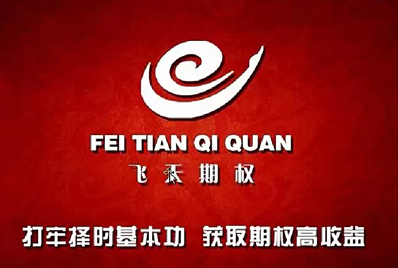 肖淳心飛天期權(quán)之期權(quán)小白基礎(chǔ)課程插圖